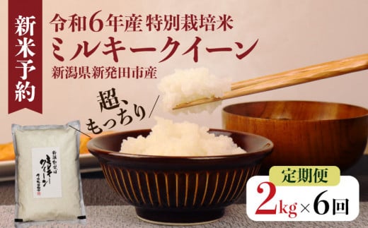 【定期便】令和6年産 新潟県産 ミルキークイーン 2kg×6か月 新潟県 新潟産 新発田市 米 お米 白米 ごはん 玄米 精米 国産 ミルキークイーン ふっくら もっちり 定期便 6ヶ月 12kg 2kg つやつや もちもち ご飯 お弁当 おにぎり コシヒカリ 低温貯蔵 佐々木耕起組合 867183 - 新潟県新発田市