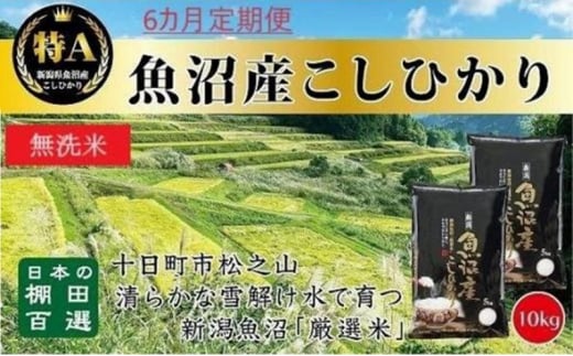 【令和6年産新米予約】 無洗米 6カ月 定期便 日本棚田百選のお米 天空の里 魚沼産 こしひかり 10kg(5kg×2)×6回 米 お米 コメ 1454316 - 新潟県十日町市