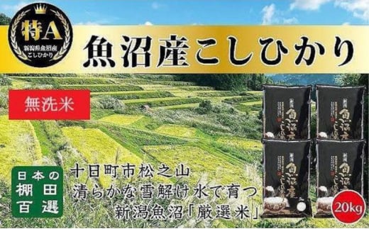 【令和6年産新米予約】日本棚田百選のお米 無洗米 天空の里 魚沼産 こしひかり 20kg(5kg×4) 1454303 - 新潟県十日町市