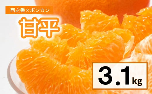 【2025年１月下旬以降発送】訳あり 農園直送 甘平（かんぺい） 3.1kg 愛媛県限定 希少 高級柑橘 手でむける みかん 