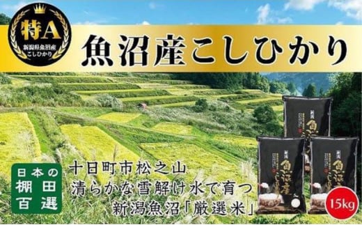 【令和6年産新米予約】日本棚田百選のお米　天空の里 魚沼産 こしひかり 15kg(5kg×3) 1454297 - 新潟県十日町市