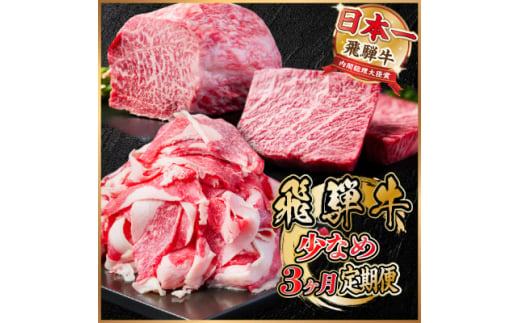 ＜毎月定期便＞飛騨牛 少なめ定期便 計1kg＜冷蔵便＞全3回【4055497】 1455538 - 岐阜県羽島市