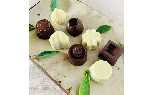 ミニホワイト＆ビターチョコ詰合わせ＜8個＞白砂糖不使用