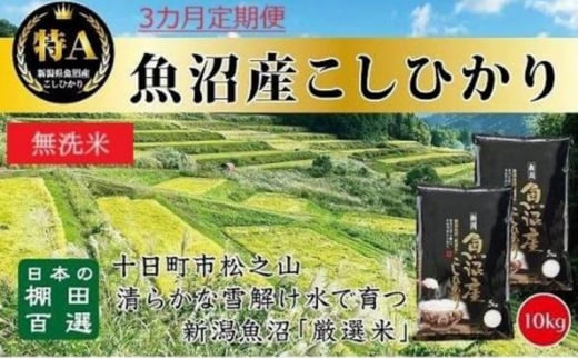 【令和6年産新米予約】 無洗米 3カ月 定期便 日本棚田百選のお米 天空の里 魚沼産 こしひかり 10kg(5kg×2)×3回 米 お米 コメ 1454311 - 新潟県十日町市