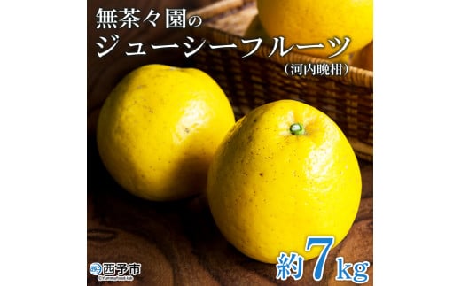 ＜無茶々園のジューシーフルーツ（河内晩柑）約7kg＞ 果物 フルーツ 選べる内容量 かわちばんかん みかん ミカン 蜜柑 柑橘 期間限定 季節限定 食べて応援 特産品 愛媛県 西予市 【常温】 256348 - 愛媛県西予市