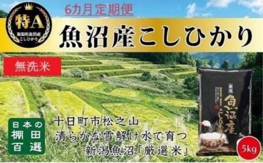 【令和6年産新米予約】 無洗米 6カ月 定期便 日本棚田百選のお米 天空の里 魚沼産 こしひかり 5kg×6回 米 お米 コメ 1454320 - 新潟県十日町市