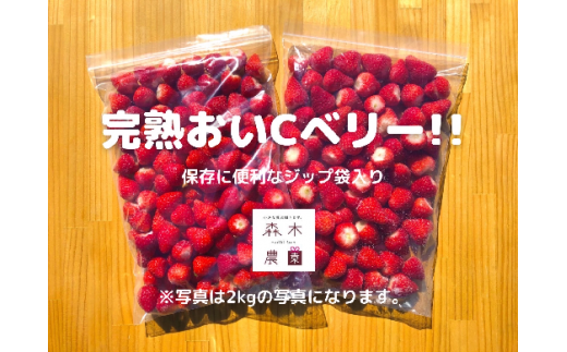 静岡県牧之原市のふるさと納税 060-3 ビタミンC含有量No.1 完熟冷凍いちご（おいCベリー）２ｋｇ以上！