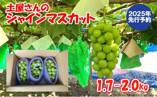 山梨県富士川町のふるさと納税 【2025年発送分 先行予約】土屋さんのシャインマスカット(1.7～2.0kg 3房) シャイン マスカット 大粒 富士川町産 産地直送 フルーツ 果物 くだもの ブドウ ぶどう 葡萄 やまなし 山梨 先行受付 令和7年