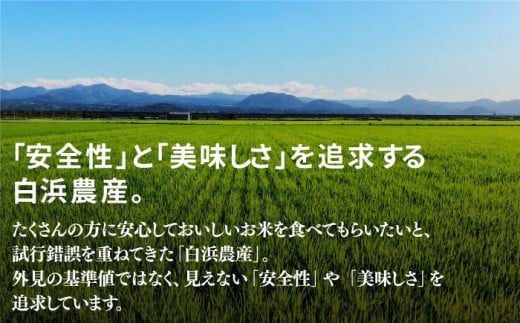 先行予約】【令和6年産新米】【九州米・食味コンクール3年連続入賞！】こだわりの さがびより 20kg（白米）【白浜農産】米 お米 特別栽培米 佐賀  白石 [IBL002] - 佐賀県白石町｜ふるさとチョイス - ふるさと納税サイト