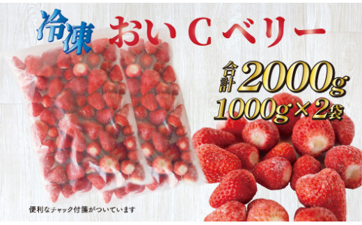 静岡県牧之原市のふるさと納税 060-3 ビタミンC含有量No.1 完熟冷凍いちご（おいCベリー）２ｋｇ以上！
