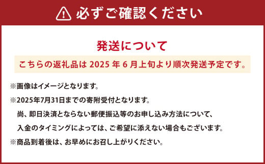 熊本県産 黒小玉スイカ 1玉 と マスクメロン 1玉 合計2玉