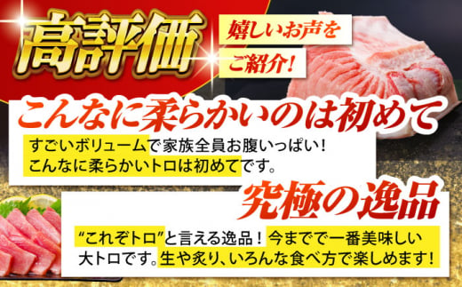 BAK013 長崎県産 本マグロ 大トロ600g 【大村湾漁業協同組合】-3