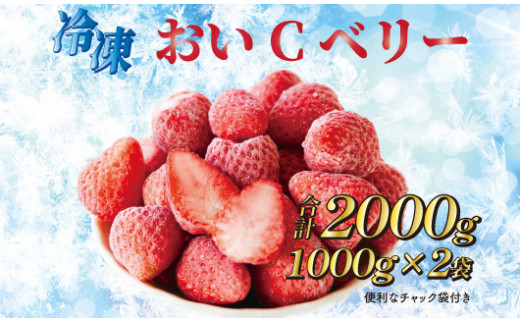 静岡県牧之原市のふるさと納税 060-3 ビタミンC含有量No.1 完熟冷凍いちご（おいCベリー）２ｋｇ以上！