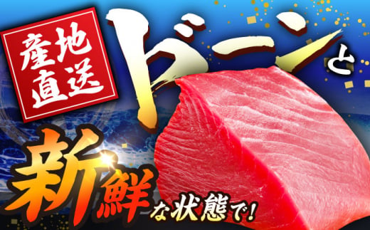 BAK011 長崎県産 本マグロ 赤身 500g 【大村湾漁業協同組合】-4