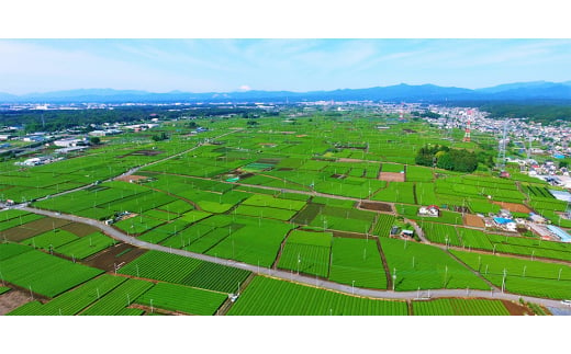 埼玉県入間市のふるさと納税 入間地豚　6種セット【1392105】