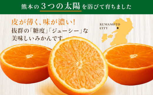 【不揃い】選べる 河内 塩屋みかん 5kg