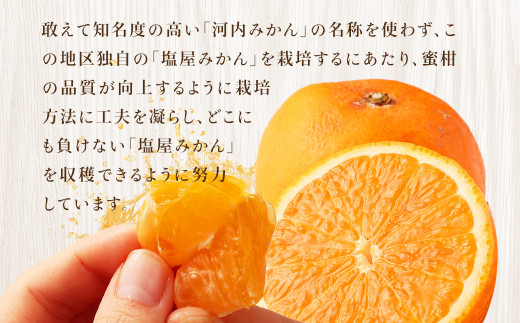 【不揃い】選べる 河内 塩屋みかん 5kg