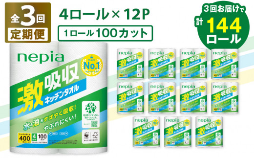 【全3回定期便】紙のまち苫小牧 王子ネピア 激吸収 キッチンタオル 100（48ロール×3回）　T001-T01 1482521 - 北海道苫小牧市