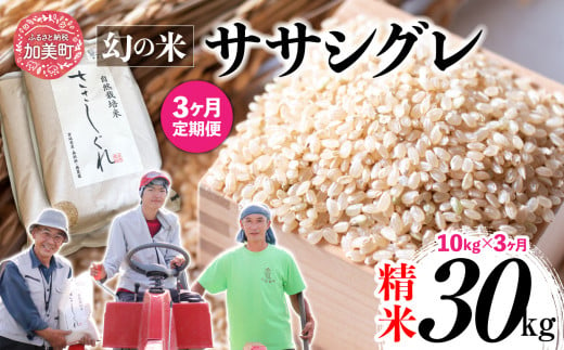 《 先行予約 》 【 3回 定期便 】ササシグレ 玄米 10kg × 3回 （ 合計 30kg ） 1455622 - 宮城県加美町