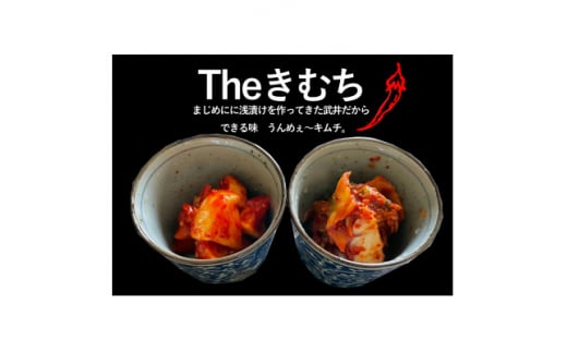 ＜武井のお漬物＞Theきむちセット 400g×2【1536857】