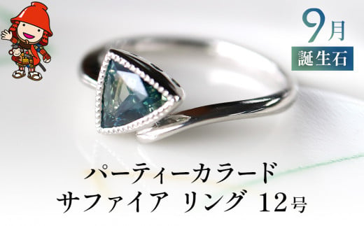 誕生石 9月 パーティーカラード サファイア 指輪 リング 12号 PT900 プラチナ アクセサリー 婚約指輪 プロポーズ 結婚指輪 誕生日 婚約 結婚 母の日 プレゼント 祝 記念日 女性 贈り物 大分県産 九州産 中津市 1465226 - 大分県中津市