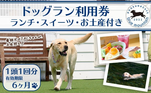 メール便でお届け！ドッグラン利用券(ランチ・スイーツ・お土産付き)(1頭1回分) 犬 ワンちゃん ペット チケット おやつ カフェ 体験 レジャー 自然 屋内 屋内 ラン ポスト投函 大分県 佐伯市【HI001】【ドッグラン&カフェblue mountain】 1456519 - 大分県佐伯市