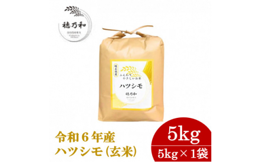 ＜先行予約＞岐阜県産ハツシモ(玄米)5kg【1540548】