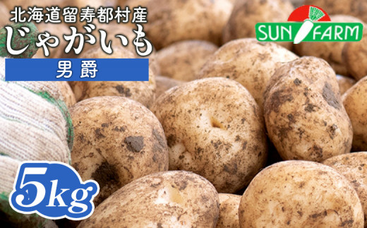 じゃがいも 男爵 5kg いも おいも 芋 イモ ジャガイモ ポテト だんしゃく オンライン 申請 ふるさと納税 北海道 留寿都 野菜 根菜 産地直送 新鮮 採れたて ポテトサラダ コロッケ マッシュポテト 5キロ 留寿都村【24014】