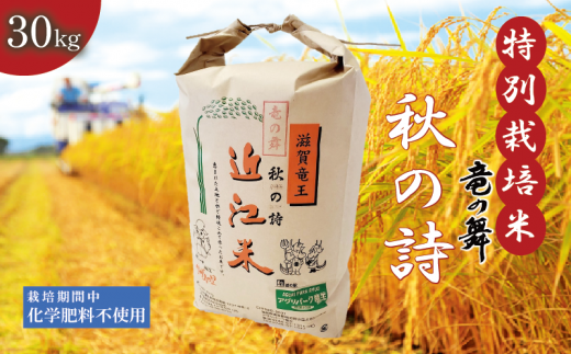 新米 【令和6年10月中旬より順次発送】 秋の詩 白米 30kg （ 10kg × 3袋） 2024年産 竜の舞 化学肥料不使用 特別栽培米 国産 安心 安全 近江米 米 お米 白米 お弁当 玄米 産地直送 滋賀県 竜王町 送料無料 1466223 - 滋賀県竜王町