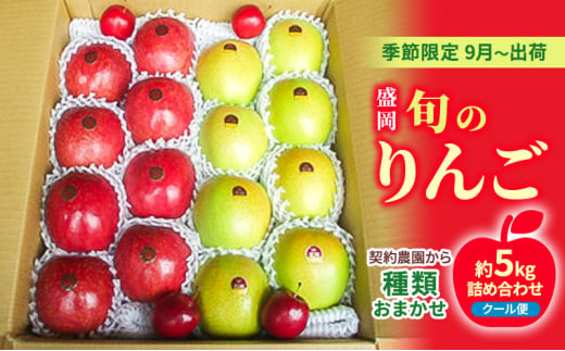 盛岡 旬のりんご《種類おまかせ！》 約5キロ詰め合わせ 《季節限定9月～出荷》《クール便》《契約農園から》 1457497 - 岩手県盛岡市