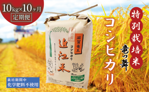 【定期便10回コース】 新米 こしひかり 白米 10kg×10回  2024年産 竜の舞 化学肥料不使用 特別栽培米 国産 安心 安全 近江米 米 お米 白米 お弁当 玄米 産地直送 滋賀県 竜王町 送料無料 1490799 - 滋賀県竜王町