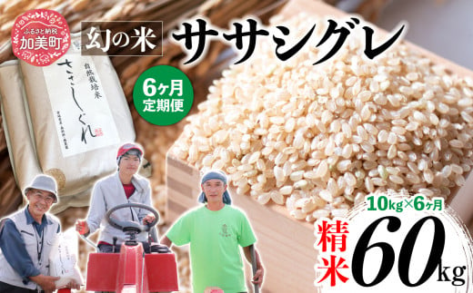 《 先行予約 》 【 6回 定期便 】ササシグレ 玄米 10kg × 6回（ 合計 60kg ） 1455623 - 宮城県加美町