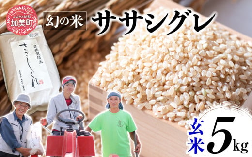 《 先行予約 》  令和6年産 ササシグレ 玄米 5kg 1455617 - 宮城県加美町