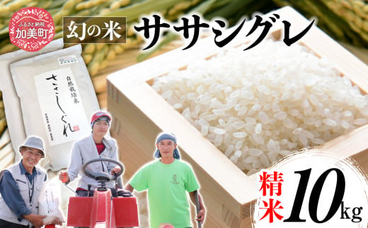 《 先行予約 》 令和6年産 ササシグレ 精米 10kg 1455609 - 宮城県加美町