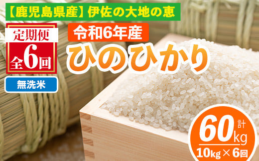 isa520-B 【定期便6回】 ＜無洗米＞選べる精米方法！令和6年産 鹿児島県伊佐南浦産ひのひかり (合計60kg・計10kg×6ヵ月) 国産 白米 精米 無洗米 伊佐米 お米 米 生産者 定期便 ひのひかり 新米【Farm-K】 1117011 - 鹿児島県伊佐市