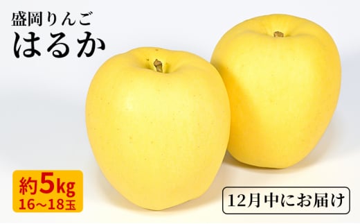 12月限定 りんご 『はるか』 生果実 盛岡りんご 約5kg(18個) 箱 盛岡市 下久保農園産                      1457498 - 岩手県盛岡市