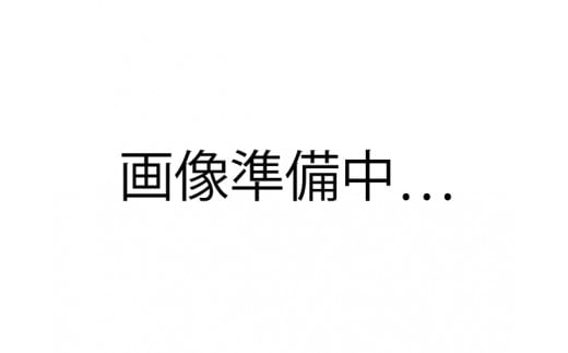 6-012-080 山口さんちの洋梨 2種詰め合わせ 5kg[10月上旬〜発送]