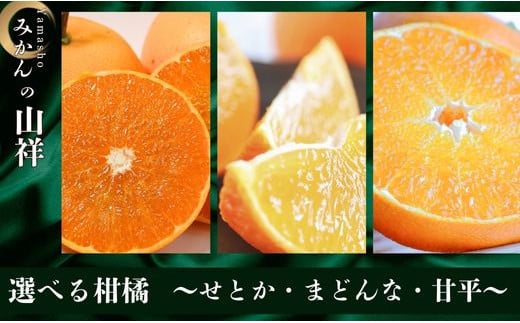 [先行受付]選べる「訳あり柑橘」まどんな・せとか・甘平[発送期間より順次〜なくなり次第終了]みかん せとか 紅まどんな 愛果28号 甘平 蜜柑 柑橘 夢オレンジ みかんの山祥