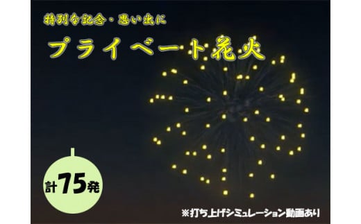 【特別な記念・思い出に】プライベート花火（７５発） 花火 はなび 記念 思い出 プライベート アニバーサリー 誕生日 記念日 結婚 プロポーズ