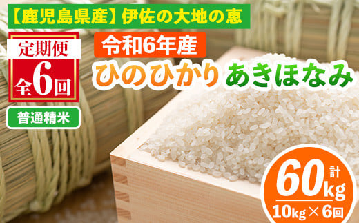 isa518-A 【定期便6回】 ＜普通精米＞選べる精米方法！令和6年産 鹿児島県伊佐南浦産 ひのひかり5kg・あきほなみ5kg (合計60kg・計10kg×6ヵ月) 国産 白米 精米 伊佐米 お米 米 生産者 ひのひかり あきほなみ 定期便 新米【Farm-K】 1116989 - 鹿児島県伊佐市