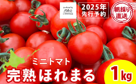 【朝採れ最短発送！】完熟ほれまる ミニトマト1kg 1457020 - 北海道東神楽町