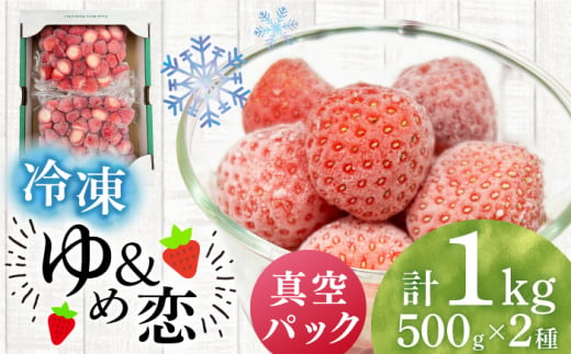 冷凍いちご 1kg 『ゆめ恋フローズンセット』《壱岐市》【蒼花】 産地直送 冷凍配送 いちご 苺 フルーツ フローズン 朝食 ゆめのか 恋みのり [JEO005] 1455748 - 長崎県壱岐市