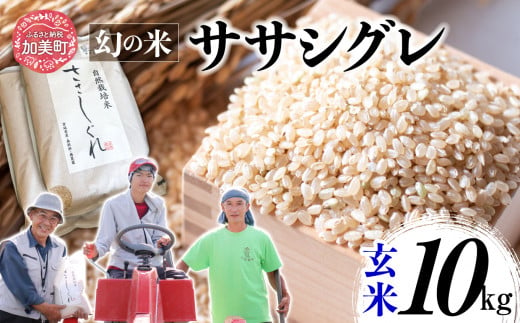 《 先行予約 》 令和6年産 ササシグレ 玄米 10kg 1455618 - 宮城県加美町