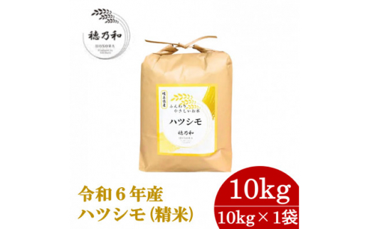 ＜先行予約＞岐阜県産ハツシモ(精米)10kg【1540844】 1457302 - 岐阜県羽島市