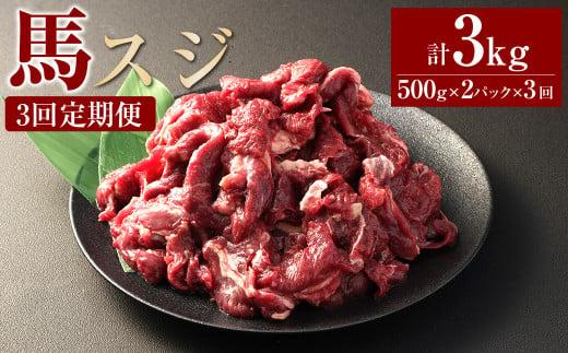 [3ヶ月定期便] 馬スジ1kg(500g×2パック) 合計3kg 馬肉 お肉 煮込み