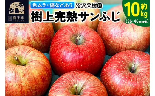 【色ムラ・キズ等あり】樹上完熟サンフジ 約10kg（26～46玉前後） 1022692 - 秋田県横手市