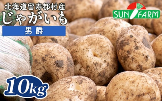 じゃがいも 男爵 10kg いも おいも 芋 イモ ジャガイモ ポテト だんしゃく オンライン 申請 ふるさと納税 北海道 留寿都 野菜 根菜 産地直送 新鮮 採れたて ポテトサラダ コロッケ マッシュポテト 10キロ 留寿都村【24015】