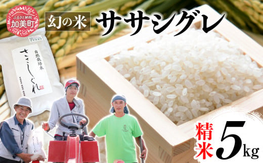 《 先行予約 》 令和6年産 ササシグレ 精米 5kg 1455608 - 宮城県加美町