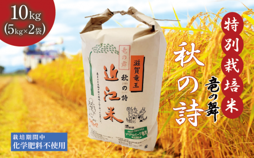 新米 【令和6年10月中旬より順次発送】 秋の詩 白米 10kg （ 5kg × 2袋） 2024年産 竜の舞 化学肥料不使用 特別栽培米 国産 安心 安全 近江米 米 お米 白米 お弁当 玄米 産地直送 滋賀県 竜王町 送料無料 1466220 - 滋賀県竜王町