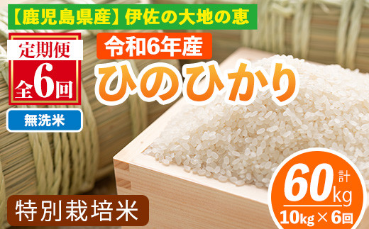 isa517-B 【定期便6回】 ＜無洗米＞選べる精米方法！令和6年産 鹿児島県伊佐産 特別栽培ひのひかり(計60kg・10kg×6ヵ月) 国産 白米 精米 無洗米 伊佐米 お米 米 生産者 ひのひかり 定期便 新米【Farm-K】 1116971 - 鹿児島県伊佐市